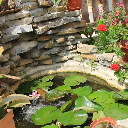بيت ضيافة Bordo 2*